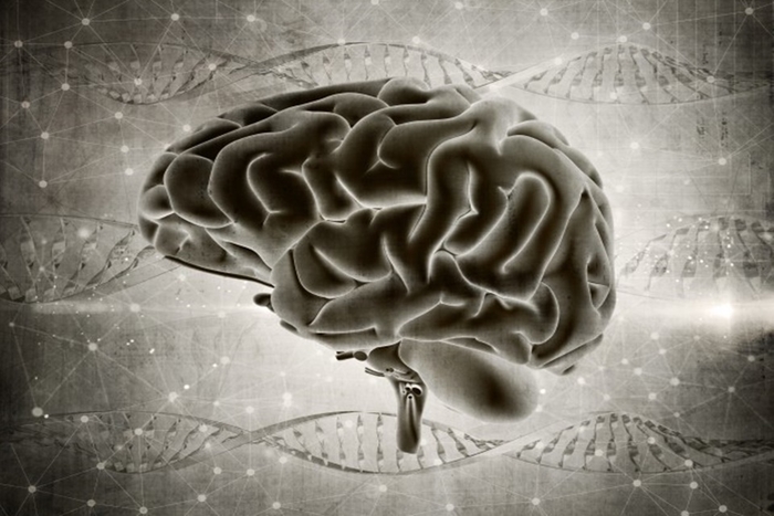 Creierul poate fi capabil să se reconecteze după leziuni traumatice