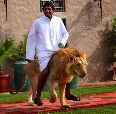 THE RIDICULOUS LIVES OF RICH PEOPLE IN DUBAI