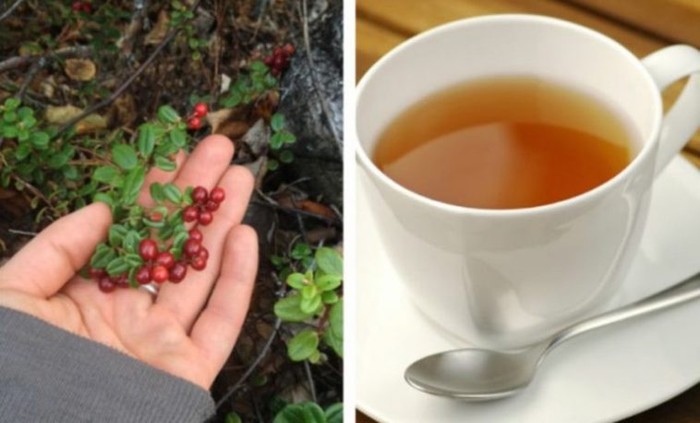 Ceaiul care ajută la eliminarea pietrelor de la rinichi – iată cum poți să-l prepari