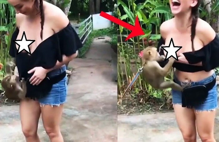 VIDEO O maimuță obraznică i-a tras bluza de pe sâni unei turiste. Acum imaginile sunt virale