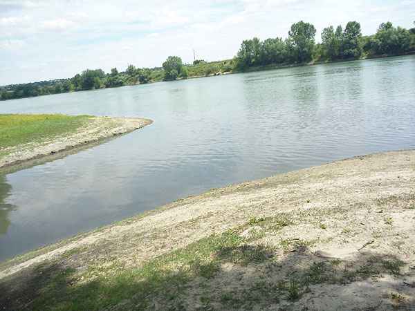 Video. La Rezina, apa menajeră uzată din rețeaua de canalizare se scurge direct în râul Nistru