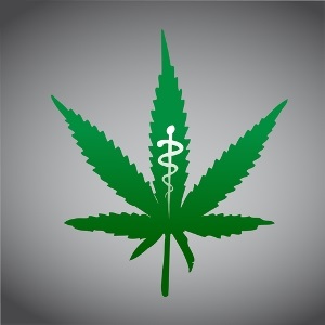 Top US doctor in favour of medical marijuana