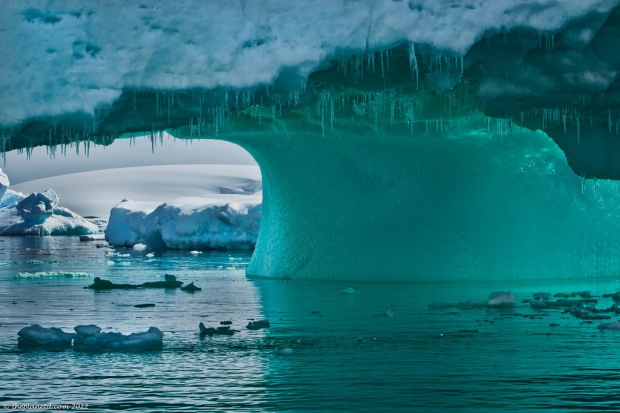 NIMENI nu ştia că există acest lucru pe Terra. Descoperire UIMITOARE sub gheaţa din Antarctica